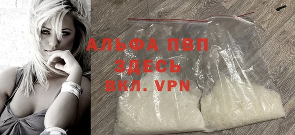 СК Белокуриха