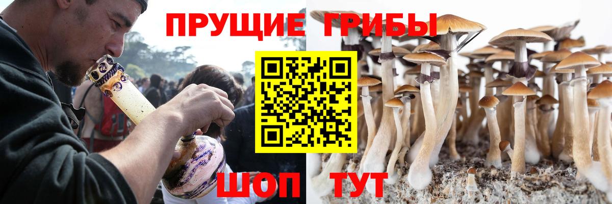 дарнет шоп  Галлюциногенные грибы Magic Shrooms  Вход с VPN  Бузулук 